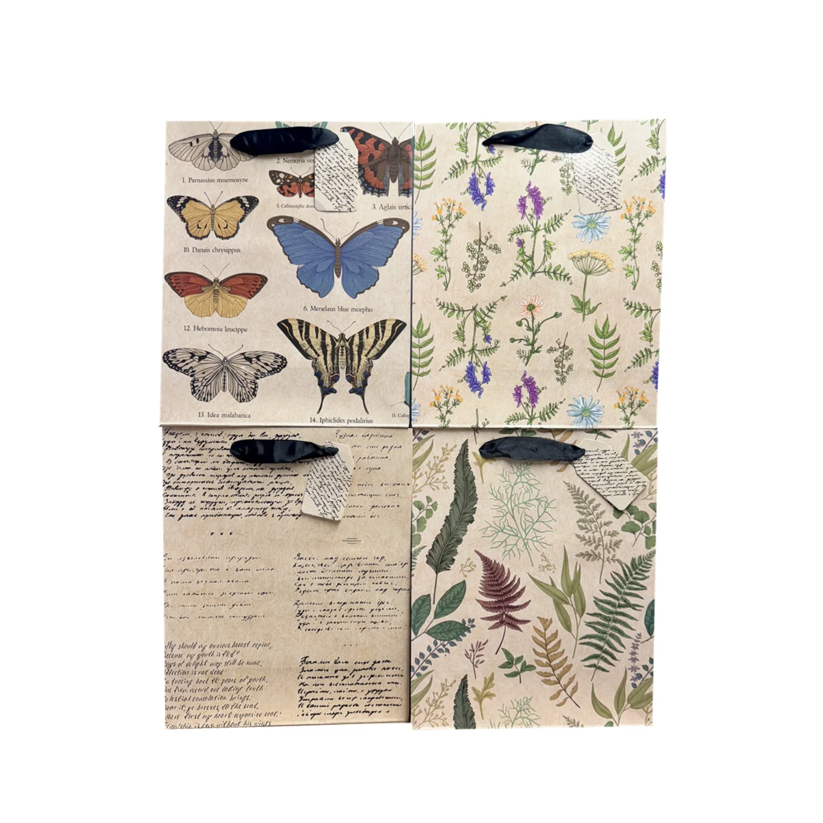 Paper Bag Natural Specimen 12/Pk