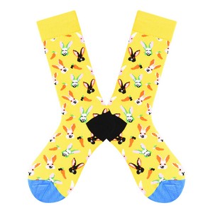 Paired Socks - Carrot Rabbit