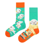 Odd Paired Socks - Bichon Frize