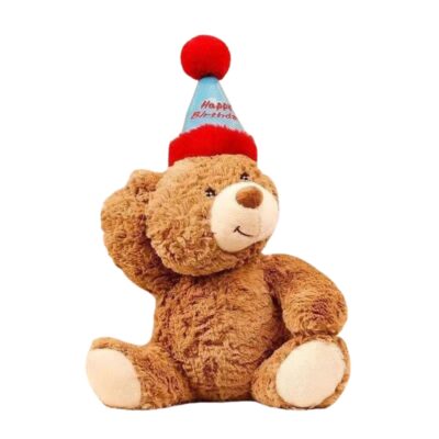 Happy Birthday Bear 33cm