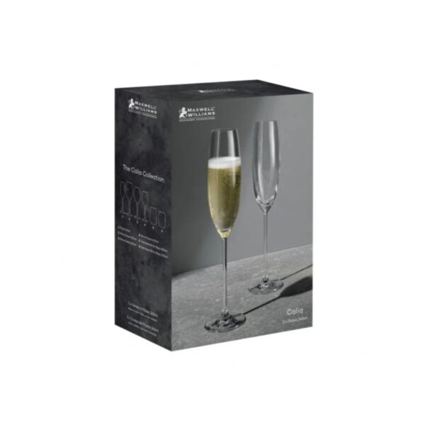 MW Calia Champagne Flute 245ml Set of 2 Gift Boxed - Image 2