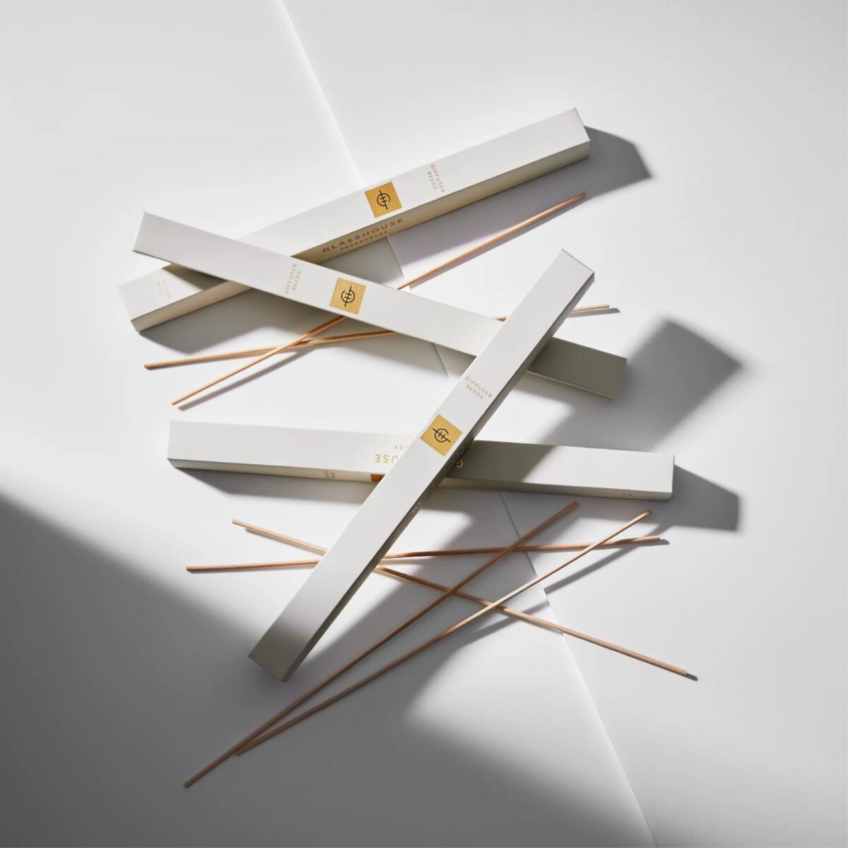 Reed-2.jpg