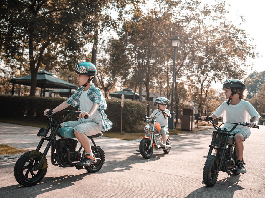 moto-electric-mini-bike-for-kids-pioneer-12-design-for-kids-1-hour-riding_900x-1.jpg