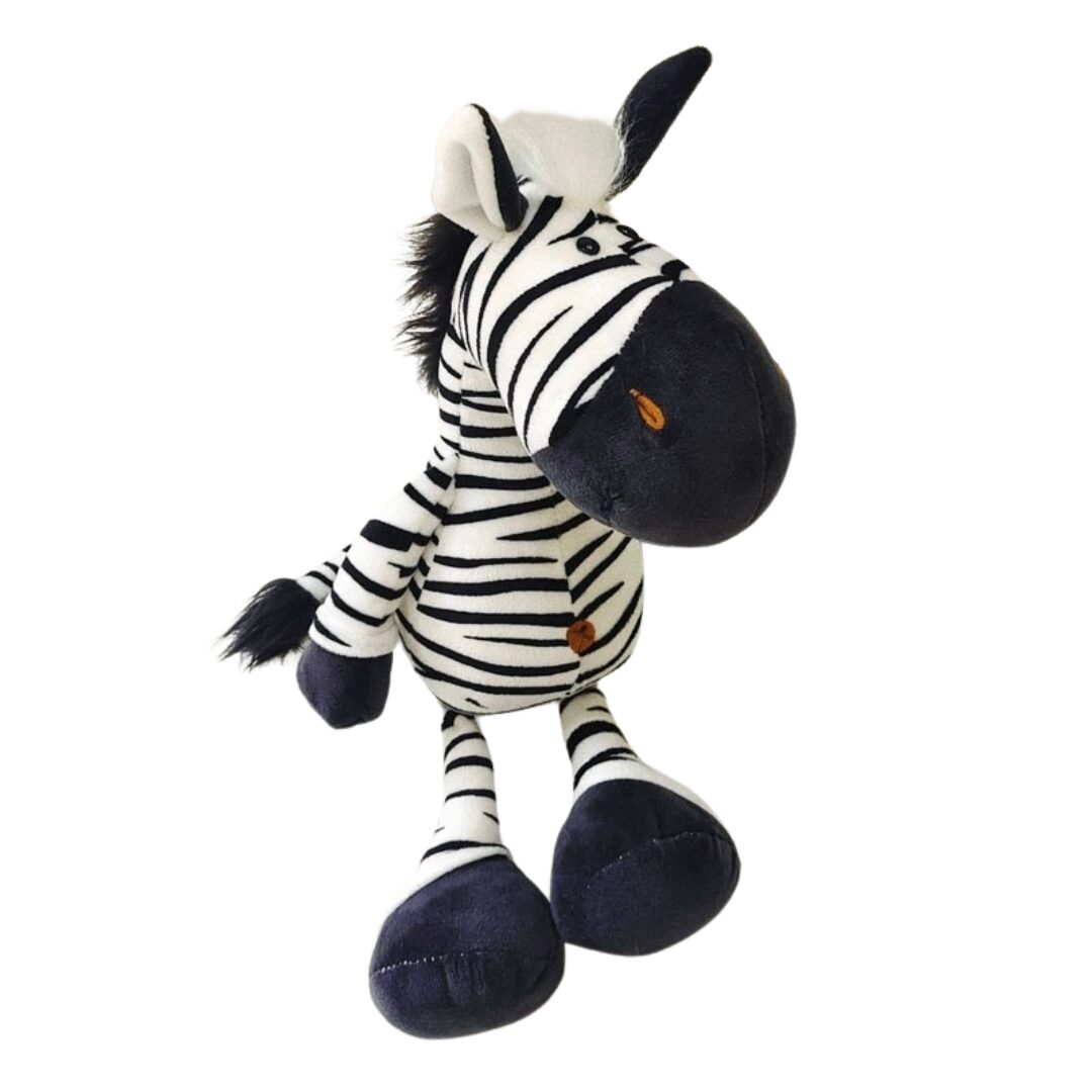 zebra.jpg